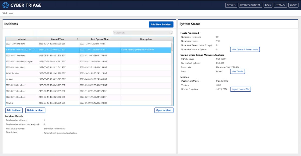 Cyber Triage interface.
