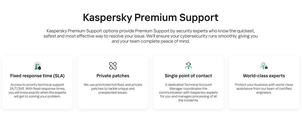Kaspersky Premium Support page.