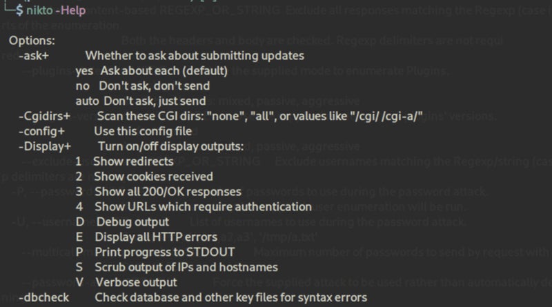 Nikto2 screenshot.