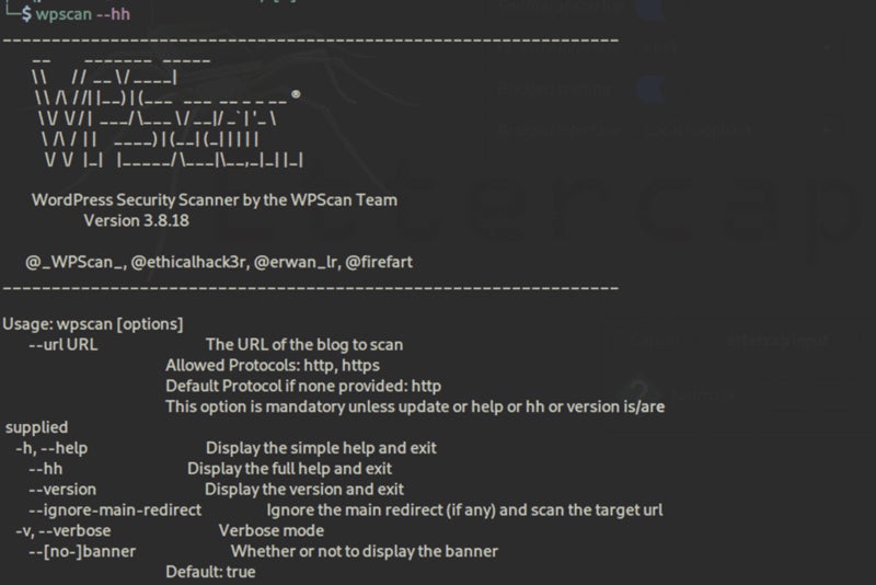 WPScan screenshot.