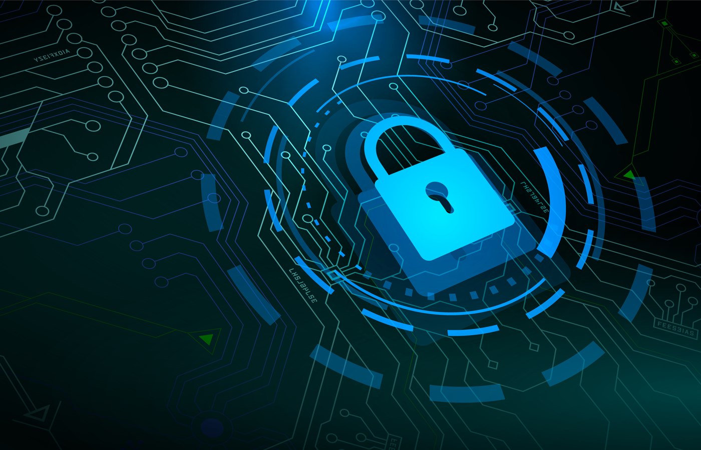 Vulnerability Recap 9/2/24 – Big Companies Upgrade vs Risks